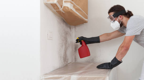 Professional Mold Removal technician working in Barclay, NJ