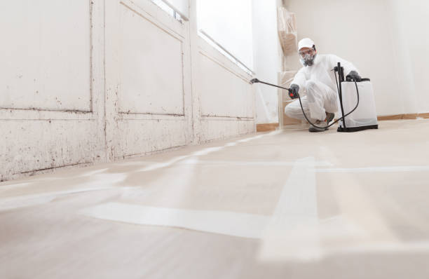 24/7 Emergency Mold Removal experts in Barclay, NJ