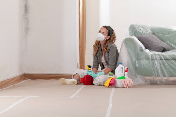 Reliable Mold Removal contractor in Barclay, NJ by 24 Hour Mold Removal